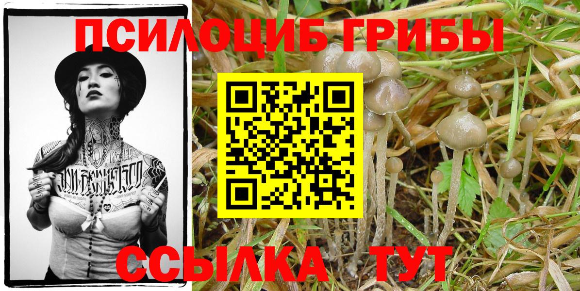 Галлюциногенные грибы мухоморы  Галлюциногенные грибы GOLDEN TEACHER  где можно купить наркотик  Кирово-Чепецк  Вход с VPN 